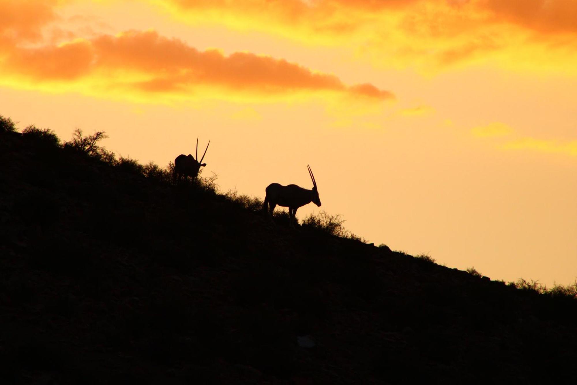 Bosch Luys Kloof Nature Reserve Ladismith Exteriér fotografie