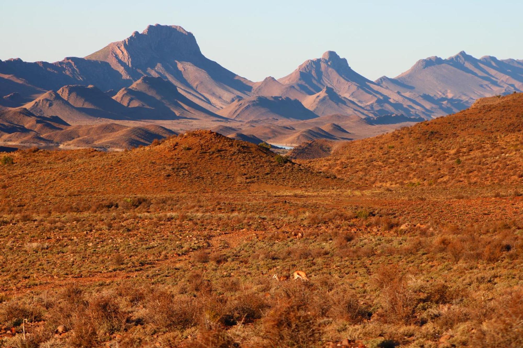 Bosch Luys Kloof Nature Reserve Ladismith Exteriér fotografie