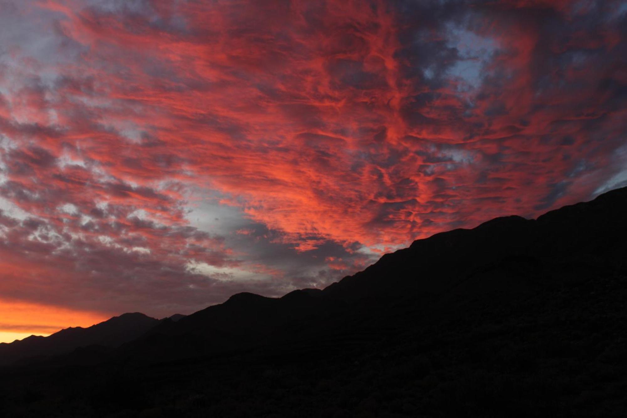 Bosch Luys Kloof Nature Reserve Ladismith Exteriér fotografie